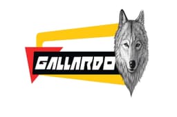  محصولات با برند گالاردو | حس خوب