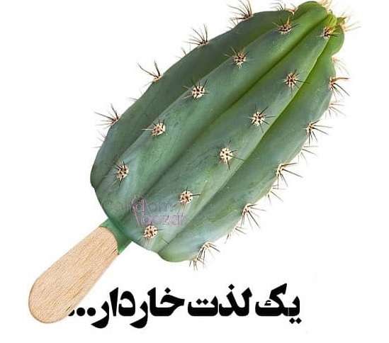 خرید-کاندوم-خاردار-